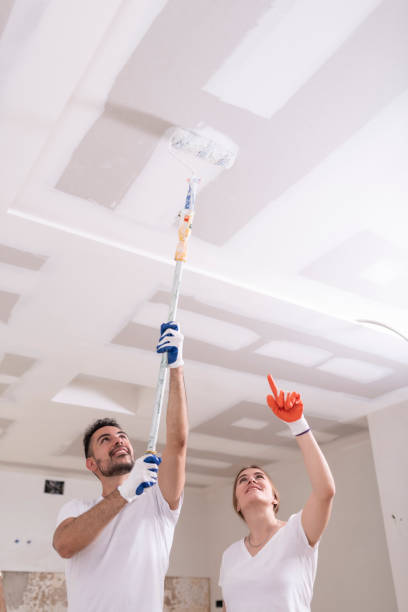 Best Mold Remediation for Rental Properties  in Soperton, GA