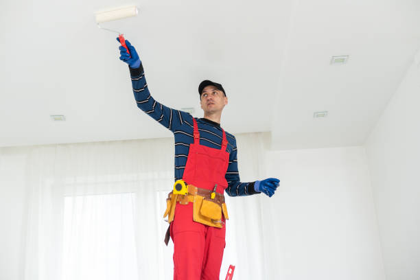 Professional Mold Removal in Soperton, GA