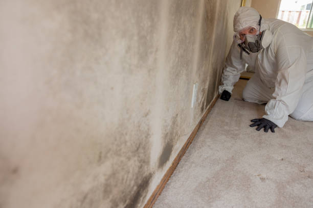 Best Forensic Mold Investigation  in Soperton, GA