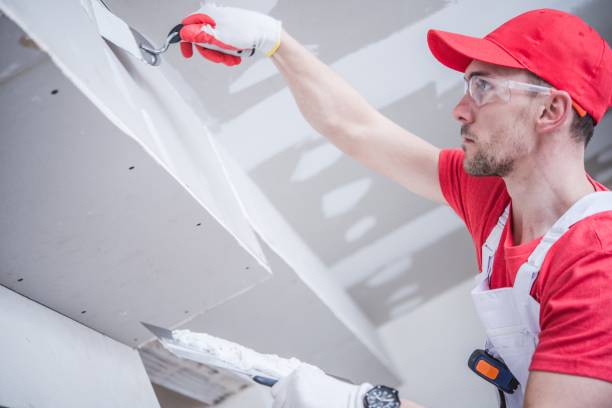 Best Mold Documentation for Insurance Claims  in Soperton, GA