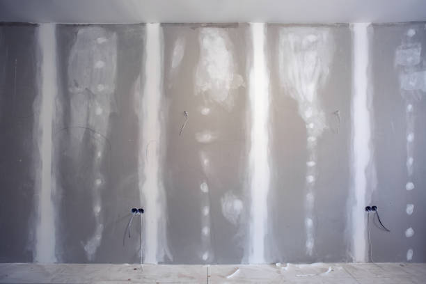 Best Mold-Related Health Consultation  in Soperton, GA